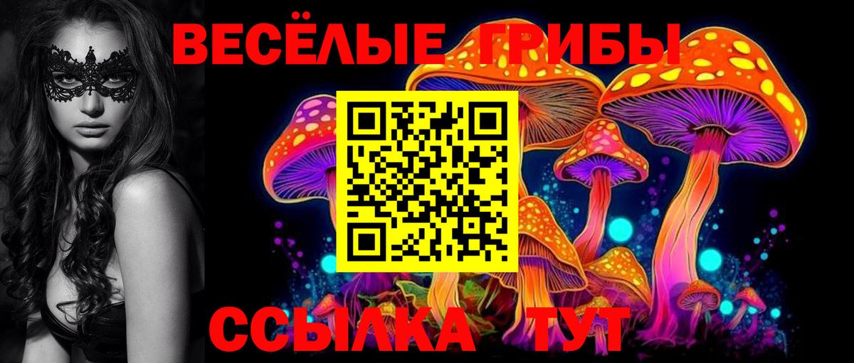 Галлюциногенные грибы прущие грибы Кировск