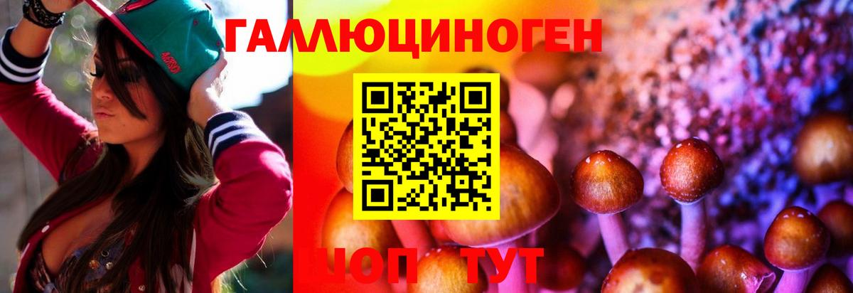 Кировск  Галлюциногенные грибы Cubensis  Вход с VPN 