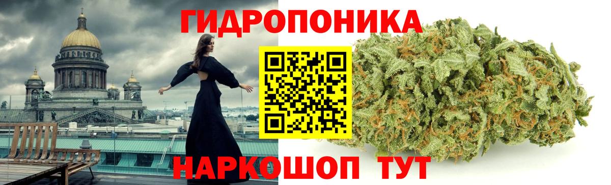 Марихуана гибрид  Шишки марихуана план  Шишки марихуана VHQ  Вход с VPN  Бошки марихуана семена  Кировск 